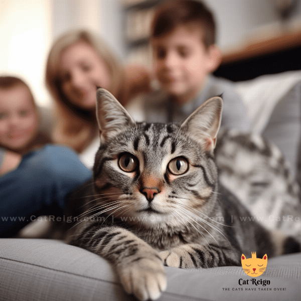 American Wirehair Cats as Family Pets
