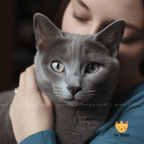 Bonding with Your Russian Blue Cat