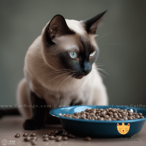 Caring for Your Burmese Cat: Diet and Nutrition