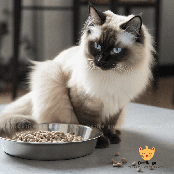 Feeding and Nutrition for Ragdoll Cats