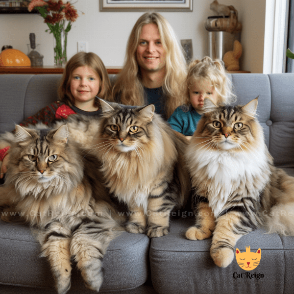 Finding the Perfect Siberian Cat for Your Home