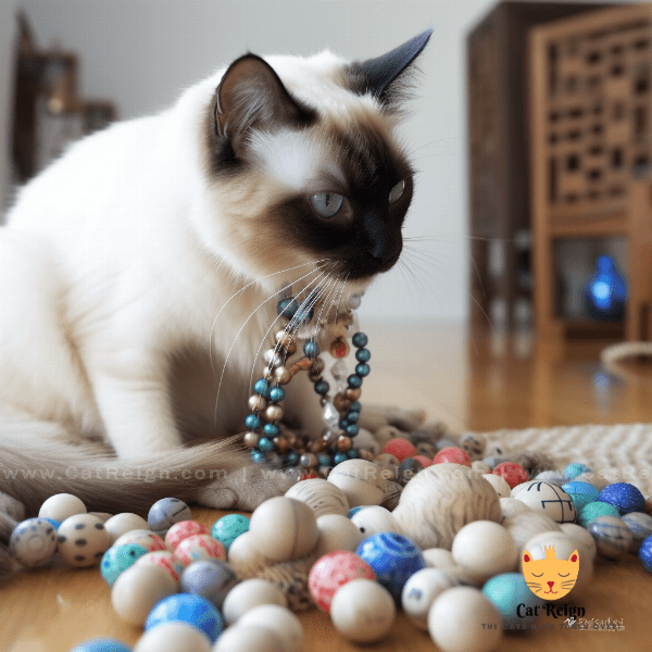Fun Activities to Do with Your Balinese Cat