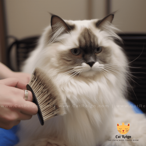 Grooming and Hygiene Tips