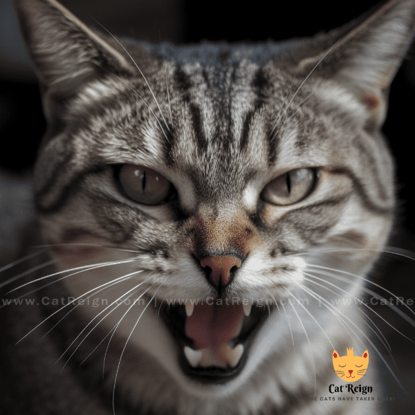 Hissing and Growling: Signs of Aggression