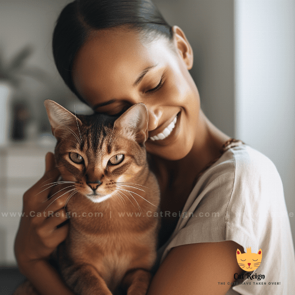 Interacting with Your Abyssinian Cat: Tips and Tricks