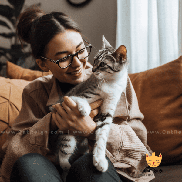 Maintaining a Happy and Healthy Relationship with Your Kitten.