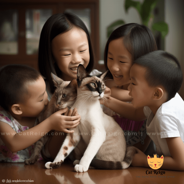 Personality Traits of Oriental Cats