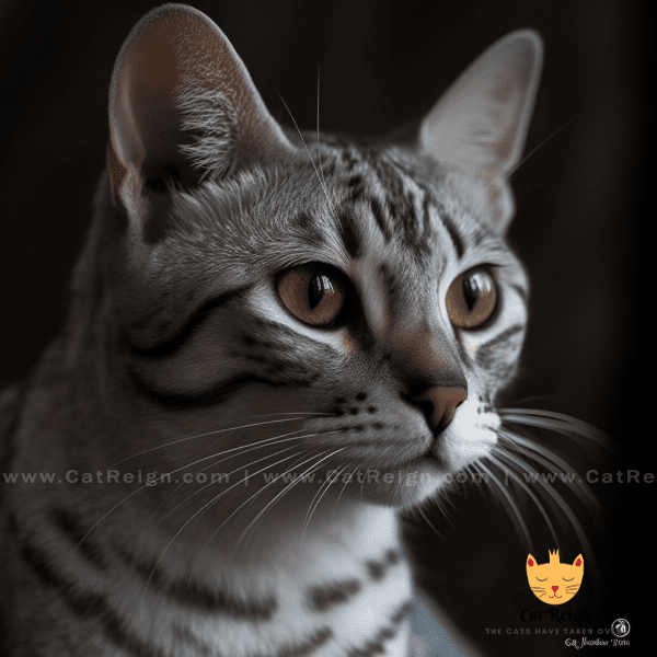 Physical Characteristics of Egyptian Mau Cat