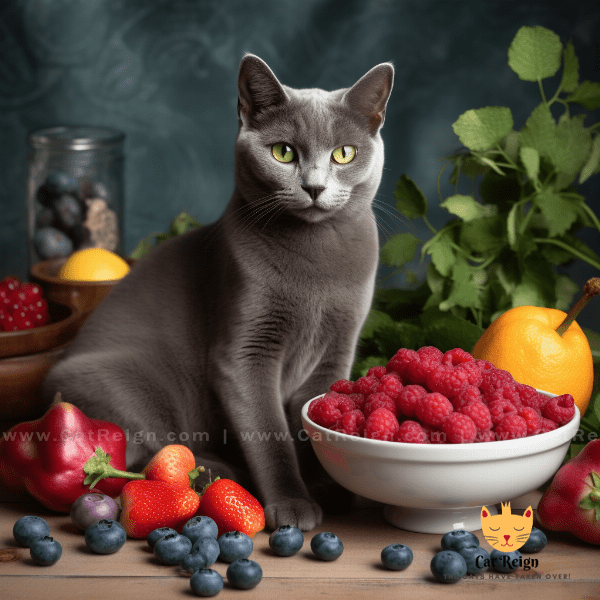 Russian Blue Cat Nutrition and Diet