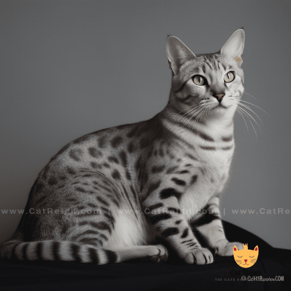 Temperament and Personality Traits of Egyptian Mau Cat