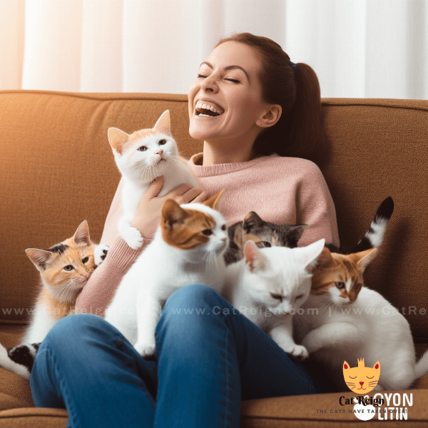 The Joy of Sharing Your Home with Meowing Kittens.